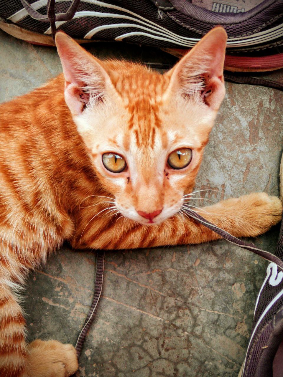 Präsenz ist ein&nbsp;Present